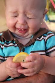 images?q=tbn:ANd9GcSQ-EbrJjsbx0PbcjXZMc6ET3_LBqlCm3Fc0EM6ceefscICUadH