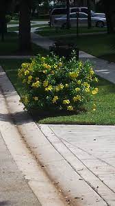 Pin On Garden