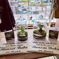 Pin Auf Bonsai Biospharen