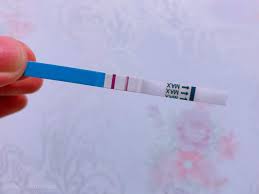 Sudah nggak terhitung orang yang membuang benih di dalam rahim saya. February 2020 Bella Idura