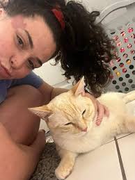 meet Casper Brown 💛 we pulled Casper from his shelter yesterday. he was  originally surrendered to the shelter due to multiple incidents of  unprovoked aggression that were responded to with a spray