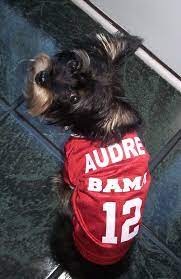 Personalized Dog Jerseys Ncaa Dog Jersey Dog Football Dog Person