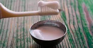 Çam kozalağı özellikle mevsim geçişlerinde çam kozalağı balı/şerbeti/şurubu nedir? Dogal Bitkisel Organik Dis Macunu Nasil Yapilir Uzmanlardan Tarifler