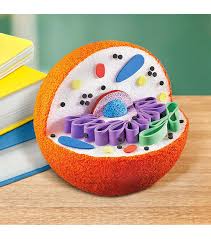 Emotion is defined as any mental experience with high intensity and high hedonic content. 10in Styrofoam Ball