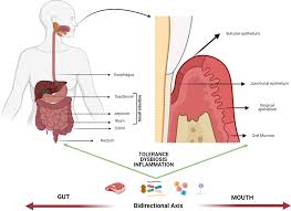 Lal path lab provides a complete range of blood & urine tests. Jihcc0hw6g1tom