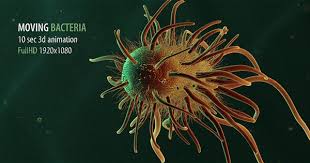 Biology For A Changing World With Physiology 3rd Edition Moving Single Bacteria 02 Bacteria Microscopic Organisms Microscopic
