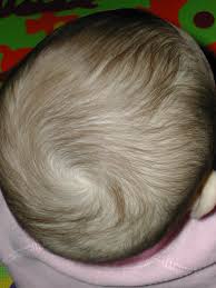 Pin On Hairstyles