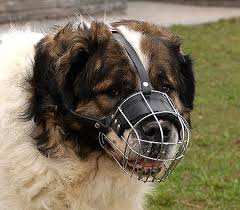 Kaukazian Ovcharka Wire Basket Dog Muzzles Size Chart