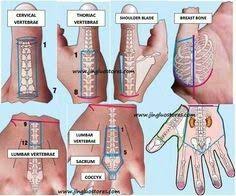 Su Jok Skeletal Maps Agopuntura Riflessologia Massaggio