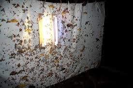 Dry Forest Ceiling Lights Environmental Crafts Lights