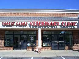 Duval animal hospital is your local veterinarian in green valley serving all of your needs. Home Veterinarian In Charlottesville Va Forest Lakes Veterinary Clinic