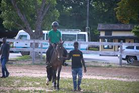 Equestrian Initiative