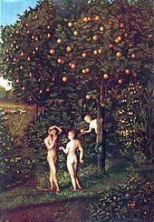 Es dauerte gute 50 seiten bis mich das buch in seinen bann gezogen hatte. Garten Eden Wikipedia