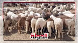 Maybe you would like to learn more about one of these? Ø¨ÙŠØ¹ Ø§Ù„Ø¨Ù‡Ø§ÙŠÙ… Ø£ÙˆÙ†Ù„Ø§ÙŠÙ† Ø³ÙˆÙ‚ Ø¬Ø¯ÙŠØ¯ Ù„Ø¨ÙŠØ¹ Ø§Ù„Ø£Ø¶Ø§Ø­ÙŠ Ù‚Ø§ÙŠÙ… ÙˆÙ…Ø´ÙÙŠ Ø¹Ù„Ù‰ Ø§Ù„Ø§Ù†ØªØ±Ù†Øª Ø§Ù„Ù…Ù†ÙˆØ¹Ø§Øª Ø¨ÙˆØ§Ø¨Ø© Ø§Ù„Ø¯ÙˆÙ„Ø©