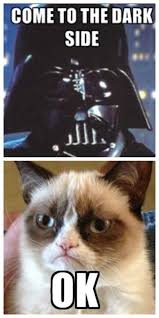 Memes For Anyone Who Loves Both Cats And Star Wars Grumpy Cat Quotes Funny Grumpy Cat Memes Grumpy Cat Humor