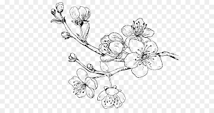 How to draw falling cherry blossoms. Cherry Blossom Tree Drawing