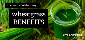 Wheatgrass removes the dead cells from the scalp and skin, thereby allowing the newer hair cells to grow. Wheatgrass Benefits How To Use Wheatgrass Every Day