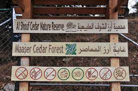 al shouf cedar nature reserve محمية أرز الشوف الطبيعية cedar forest beirut lebanon lebanon