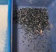 High Accuracy Plastic PET Flakes Color Sorter Mixed PE ...