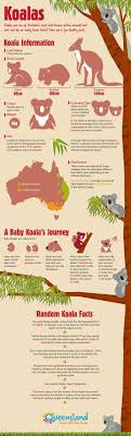 Welcome To Queensland Australia Koala Australian Animals Australia