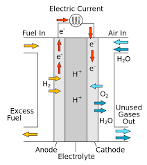 Can I Make A Hydrogen Oxygen Fuel Cell That Can Generate Electricity At Home Quora