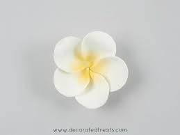 How To Make Gum Paste Plumeria Frangipani Decorated Treats Fondant Flower Tutorial Plumeria Flowers Gum Paste Flowers