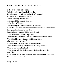 Mary Oliver American Poet Poems Beautiful Mary Oliver Poems Mary Oliver