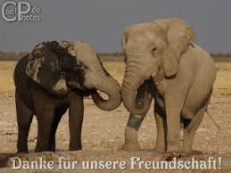 Die besten tweets über freunde. Coolphotos De Internationaler Tag Der Freundschaft 30 7