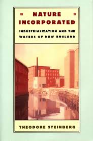 Nature Incorporated: Industrialization and the Waters of New England:  Steinberg, Theodore: 9780870239434: Amazon.com: Books