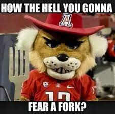 Fear No Fork Eat With It Arizona Wildcats Basketball Wild Cats U Of Arizona
