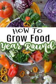 Sage plants provide your garden space with interesting textures, hues and aromas. How To Grow Food Year Round From Your Own Family Food Garden