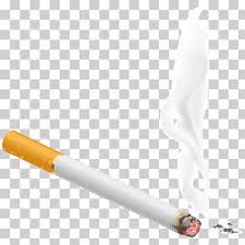 Cigarette Tobacco Smoky Cigarette Brown And White Single Cigarette Stick Illustration Combustion Tobacco Pipe Light Png Klipartz This is a great way out if you need to create a catchy picture with a mysterious vibe, hide some distracting. cigarette tobacco smoky cigarette