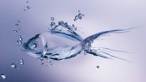 3d Water Fish Wallpapercase Water Art Fish Wallpaper Moving Wallpapers
