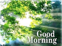 Good morning images of nature free download. 900 Beautiful Good Morning Nature Images Nature Good Morning Photos Good Morning