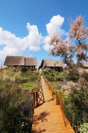 Please refer to green village resort cancellation policy on our site for more details about any exclusions or requirements. Nie Wieder Green Village Resort Sfantu Gheorghe Bewertungen Tripadvisor