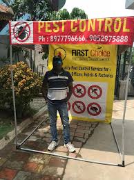Consumer choice award has awarded 1st choice pest services as winnipeg and greater region's best pest control company for 2020. First Choice Pest Control Pvt Ltd Home Facebook