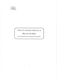 CÔNG TY CỔ PHẦN SÔNG ĐÀ 10 - Báo cáo tài chính
