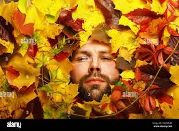 Artistic conceptual autumn beard man portrait. Colorful leaves. Leaves of  trees around an emotional face. Autumn is coming Stock Photo