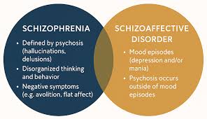 Image result for Schizozygia