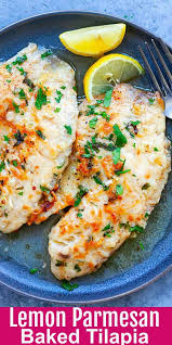 Lemon Parmesan Tilapia The Best Tilapia Recipe Ever Oven Baked With Garlic Lemon Juice And Crusty Best Tilapia Recipe Baked Tilapia Recipes Talapia Recipes