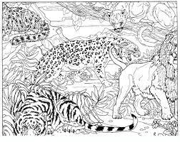 pin on animal colouring pages feuille de coloriage lion