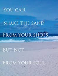 Travel Quotes Travel Quotes Twitter Ecogreentravel Instagram Stephen B D Beach Quotes I Love The Beach Beach
