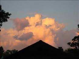 Janice Pelkey-Bramson Obituary (2010)