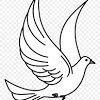 Fünfzig tage nach ostern feiern christen das pfingstfest. 1