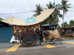 Check spelling or type a new query. Melaka Kini Setelah Sekian Lama Kelibat Kereta Lembu Facebook