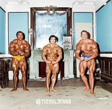 Canvas prints will have an additional 2 inch (5cm) white border added around the image to allow for stapling and stretching to a frame, if desired. Serge Franco And Arnold Battle Of The Most Musculars Bodybuilding