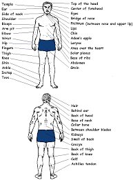Knowledge Of Pressure Points And Pressure Point Techniques