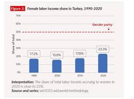 Wealth Inequality in Turkey ...