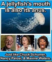 A Jellyfish S Mouth Just Like Chuck Schumer Nancy Pelosi Maxine Waters