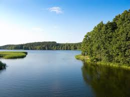 Czas szybko ucieka i trochę boję się, że nie uda mi się wykorzystać wszystkiego, co mamy w zanadrzu. Bory Tucholskie Szlaki I Atrakcje Regionu Co Warto Zobaczyc Podroze